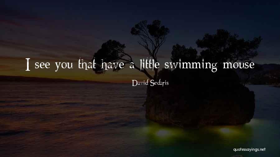 Mostofsky Quotes By David Sedaris Mostofsky Quotes By David Sedaris