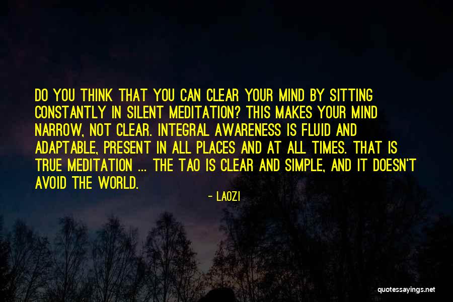 Mostrengo Resumo Quotes By Laozi Mostrengo Resumo Quotes By Laozi