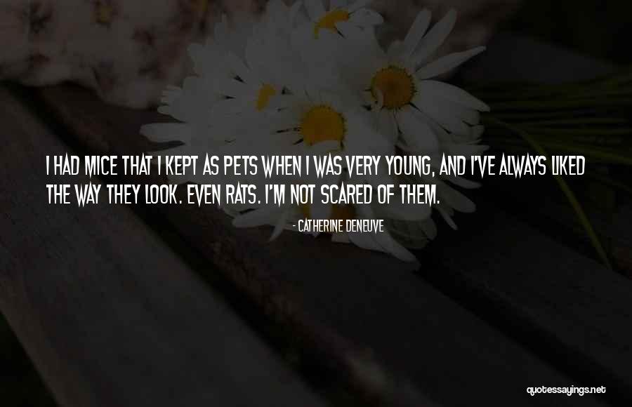 Mostrom Land Quotes By Catherine Deneuve Mostrom Land Quotes By Catherine Deneuve