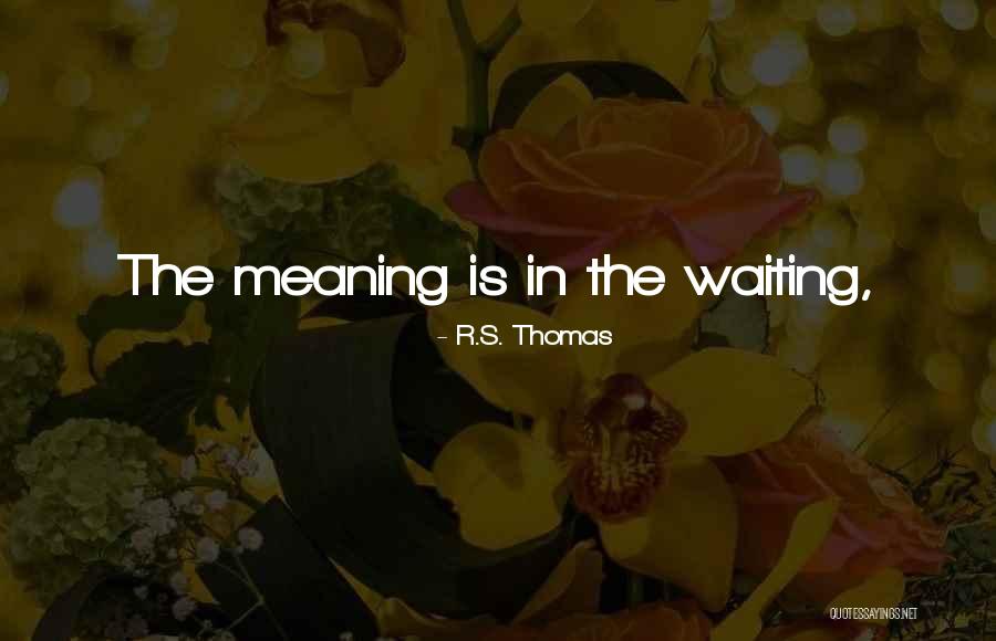 Motaung Clan Quotes By R.S. Thomas Motaung Clan Quotes By R.S. Thomas