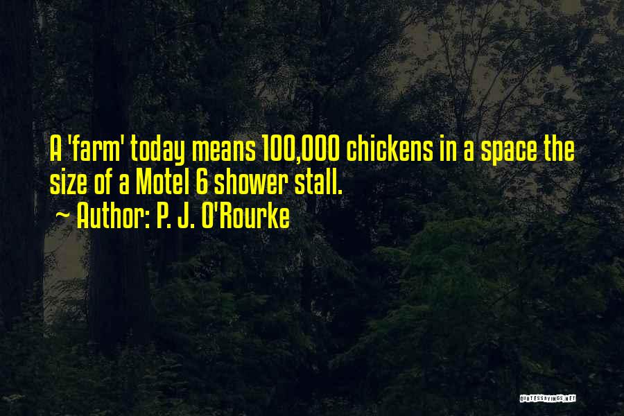 Motel Quotes By P. J. O'Rourke