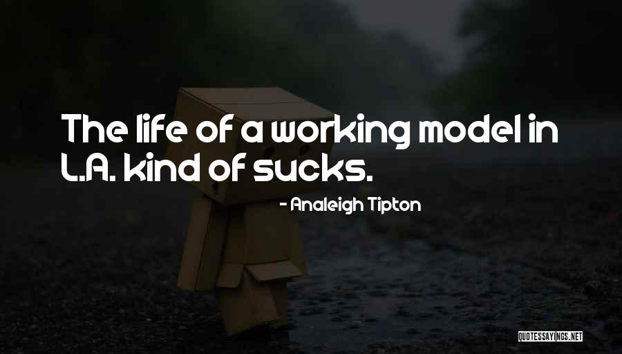 Motengator Quotes By Analeigh Tipton Motengator Quotes By Analeigh Tipton