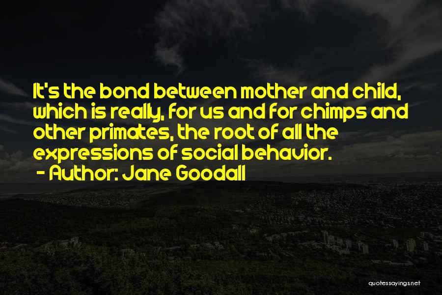 Mother And Child Bond Quotes By Jane Goodall