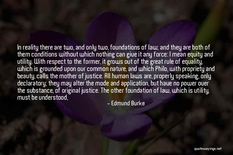 Mother And Mother In Law Quotes By Edmund Burke