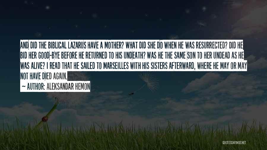 Mother And Son Quotes By Aleksandar Hemon