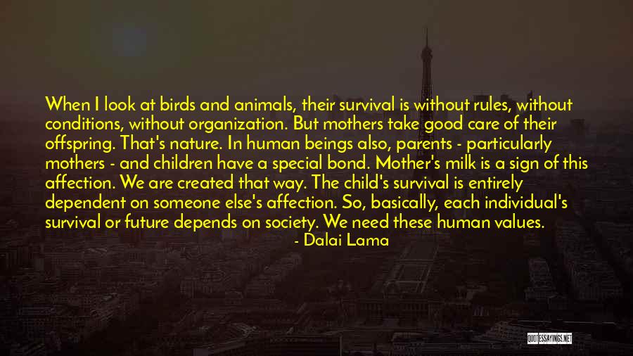 Mother Child Care Quotes By Dalai Lama Mother Child Care Quotes By Dalai Lama