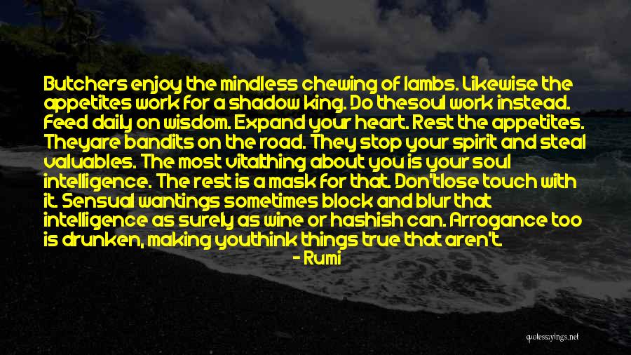 Mother Euphrasia Quotes By Rumi Mother Euphrasia Quotes By Rumi