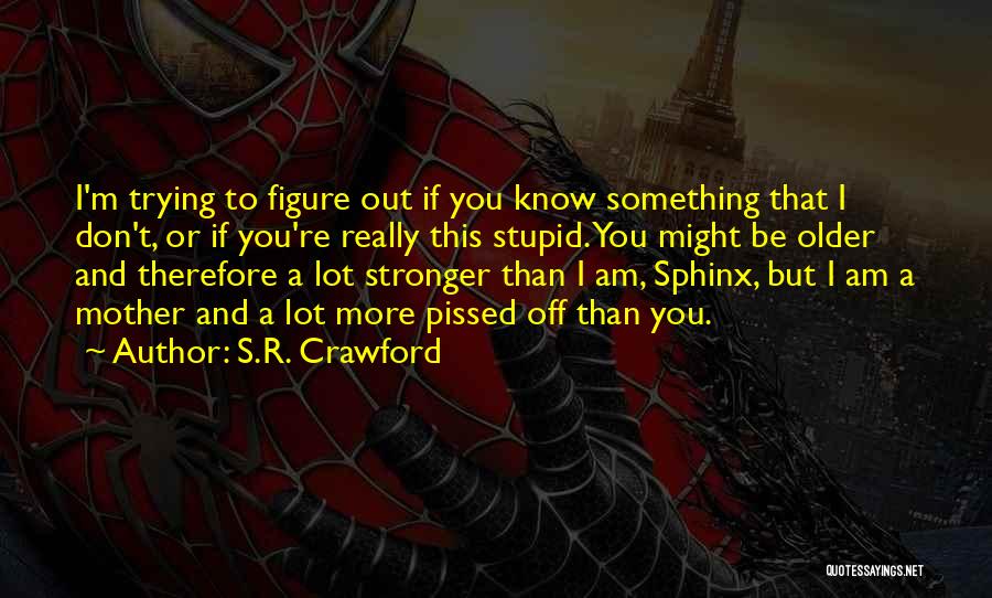 Mother Fight Quotes By S.R. Crawford