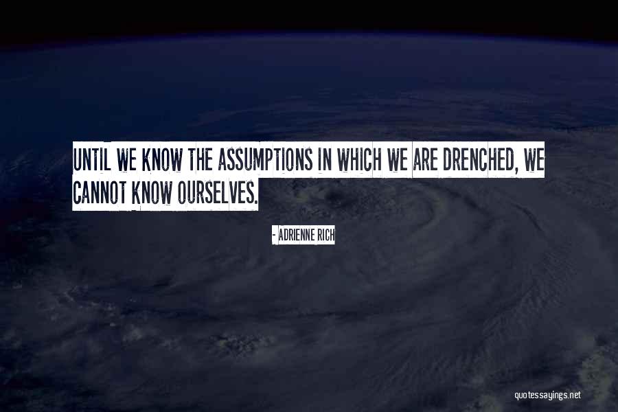 Mother Grabbing Quotes By Adrienne Rich Mother Grabbing Quotes By Adrienne Rich