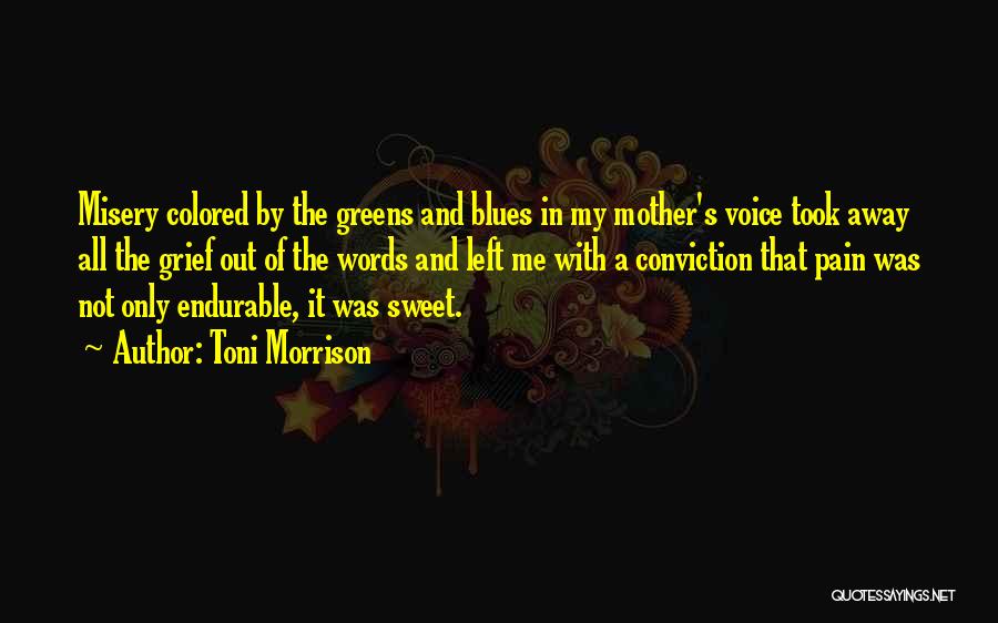 Mother Grief Quotes By Toni Morrison