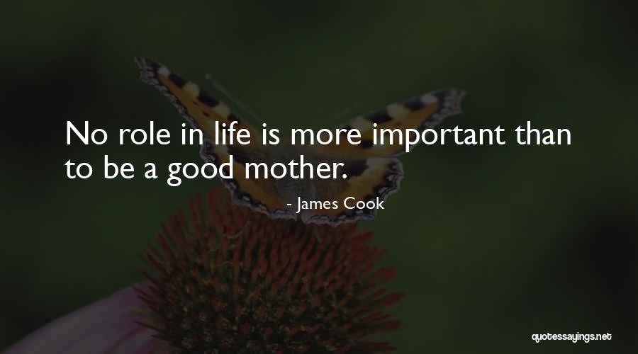 Mother Important Quotes By James Cook Mother Important Quotes By James Cook