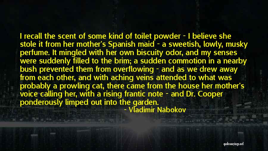 Mother Little Girl Quotes By Vladimir Nabokov