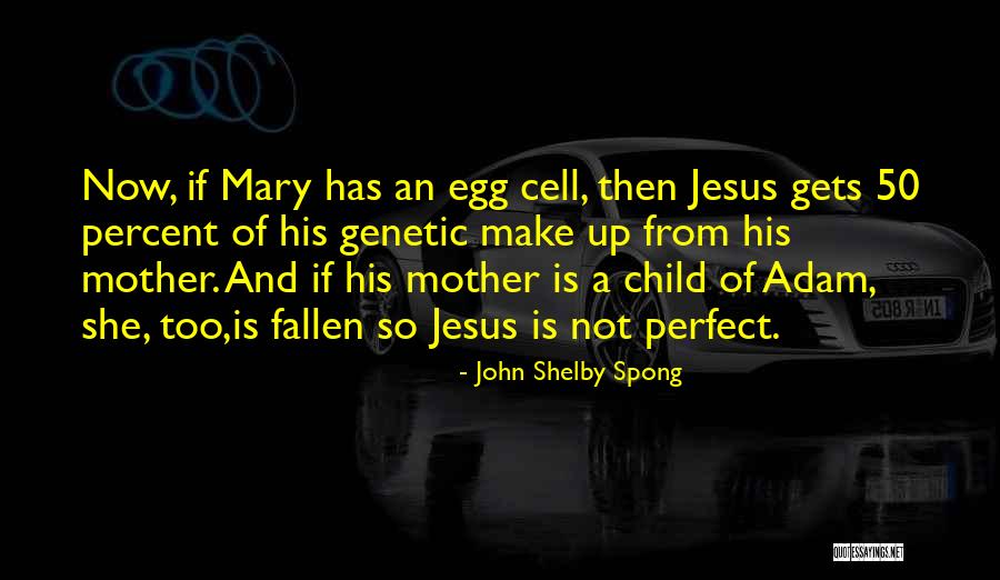 Mother Mary And Jesus Quotes By John Shelby Spong Mother Mary And Jesus Quotes By John Shelby Spong