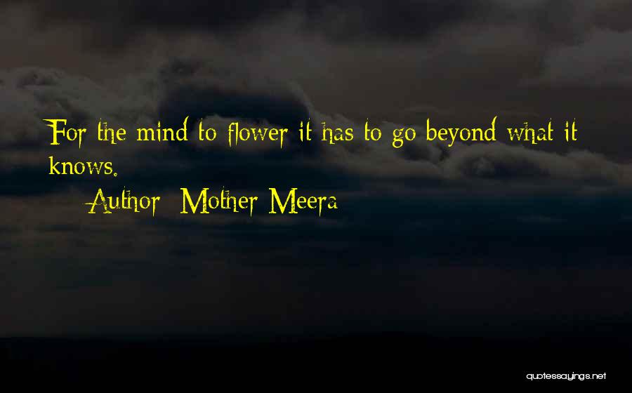 Mother Meera Quotes 496730