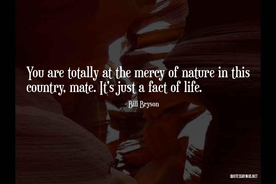 Mother Nature Life Quotes By Bill Bryson Mother Nature Life Quotes By Bill Bryson