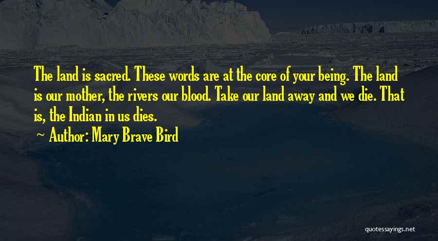 Mother Not By Blood Quotes By Mary Brave Bird
