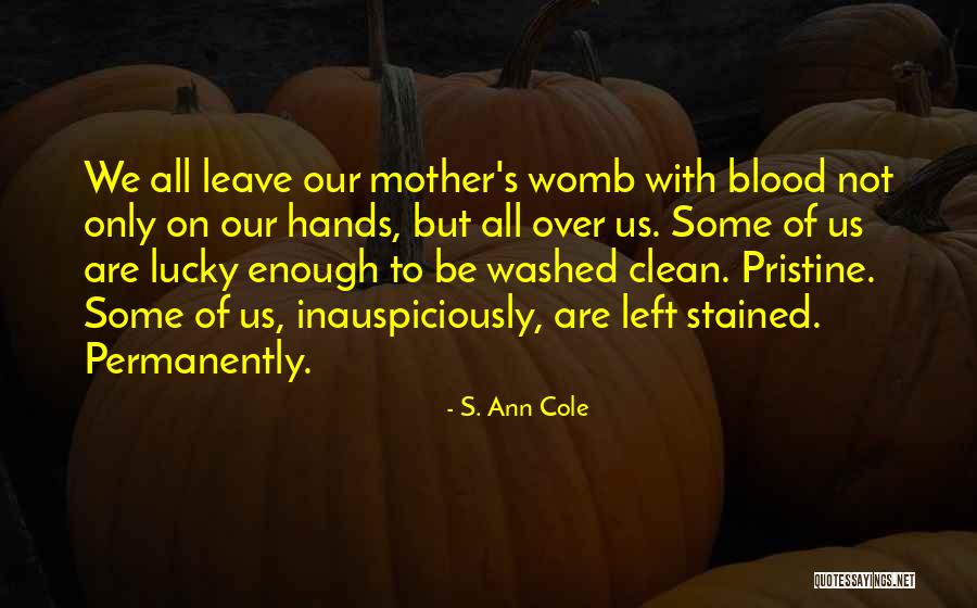 Mother Not By Blood Quotes By S. Ann Cole