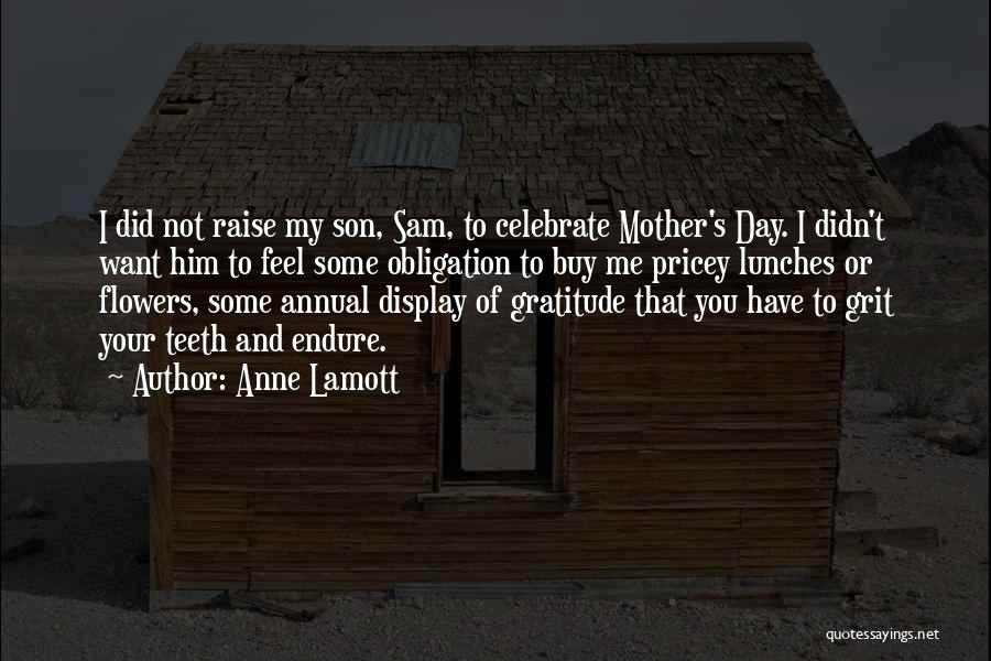 Mother Obligation Quotes By Anne Lamott