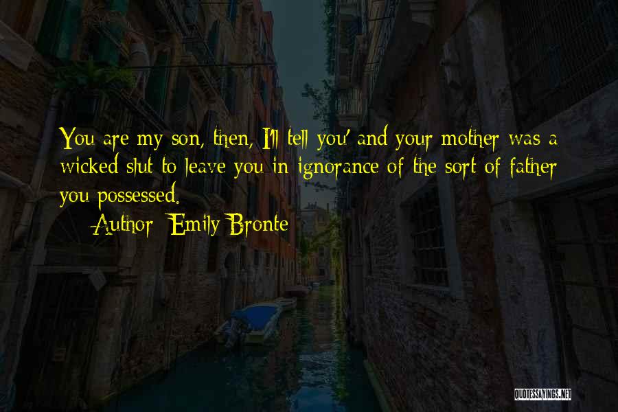 Mother Son And Father Quotes By Emily Bronte