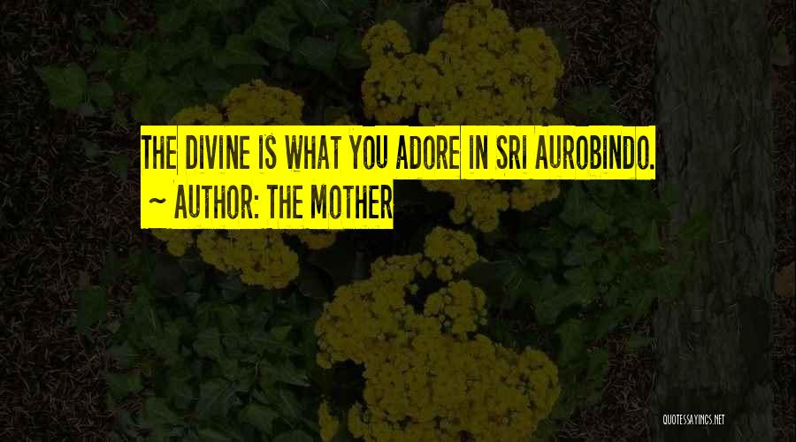 Mother Sri Aurobindo Quotes By The Mother
