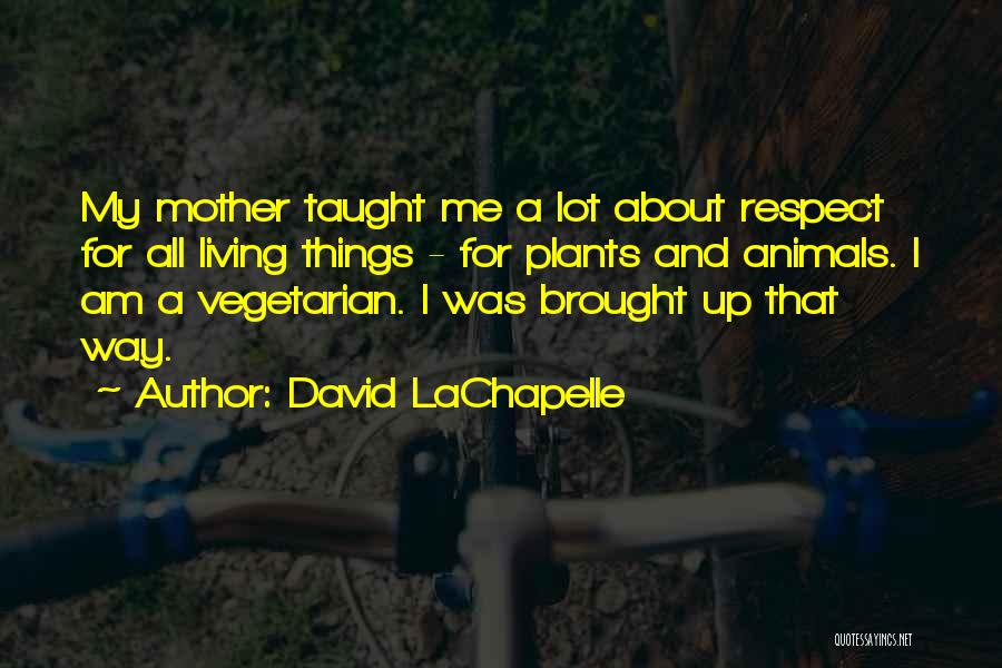 Mother Taught Me Quotes By David LaChapelle