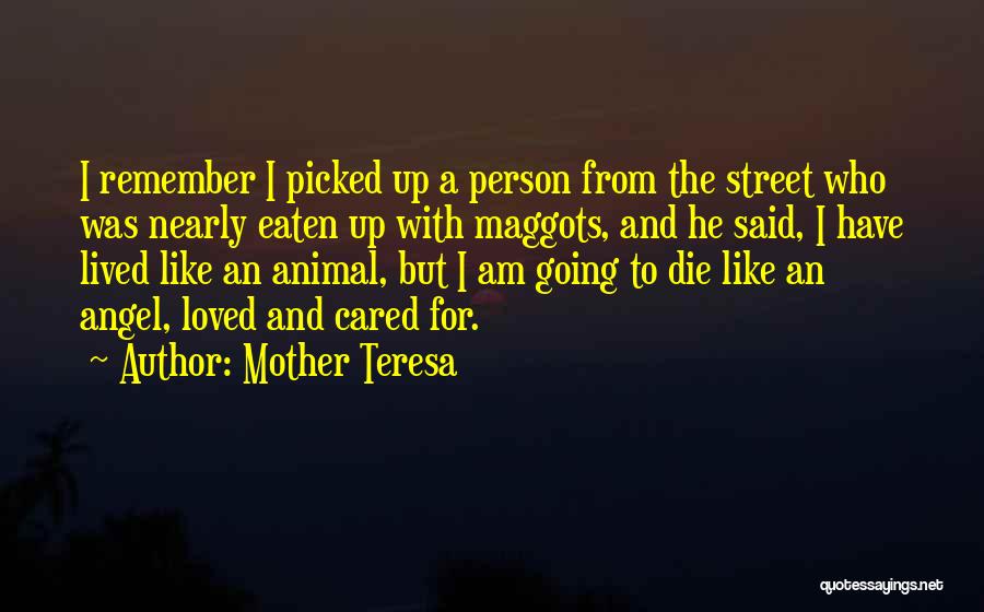 Mother Teresa Quotes 2145085