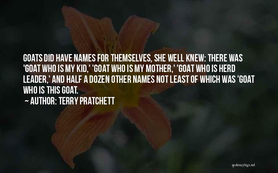 Mother There Quotes By Terry Pratchett