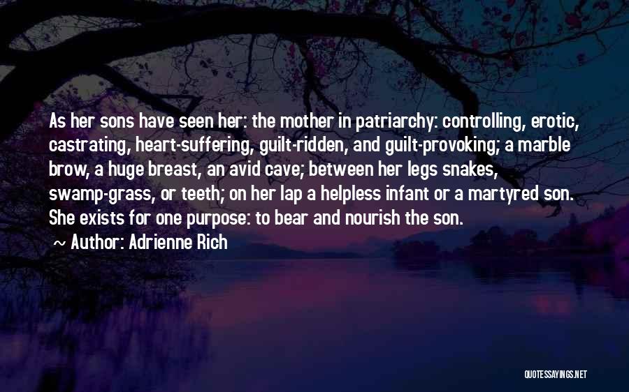 Mother To Her Son Quotes By Adrienne Rich