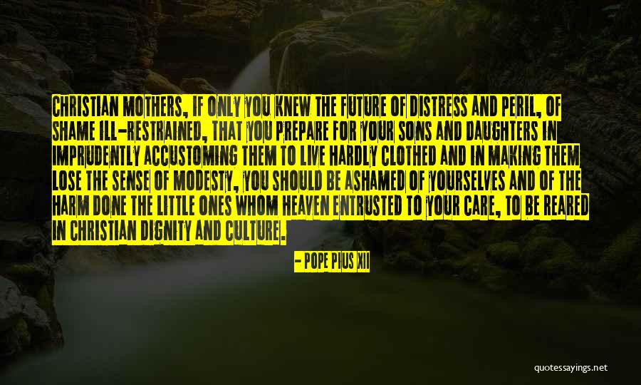 Mother You Are In Heaven Quotes By Pope Pius XII Mother You Are In Heaven Quotes By Pope Pius XII