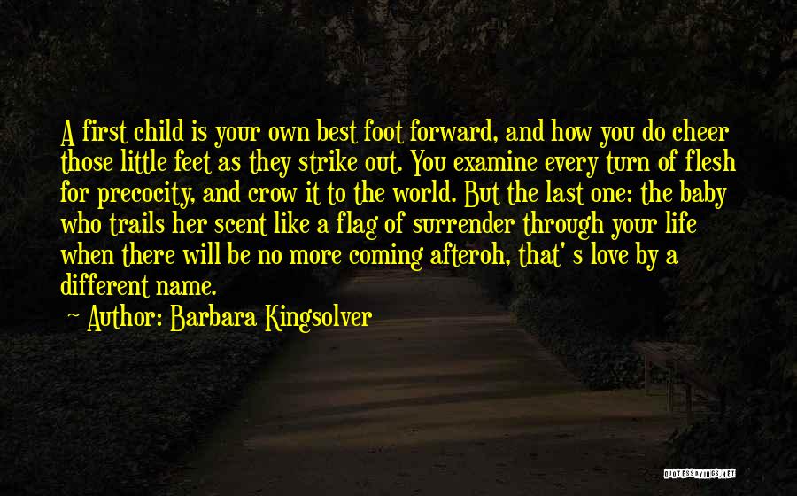 Motherhood And Babies Quotes By Barbara Kingsolver