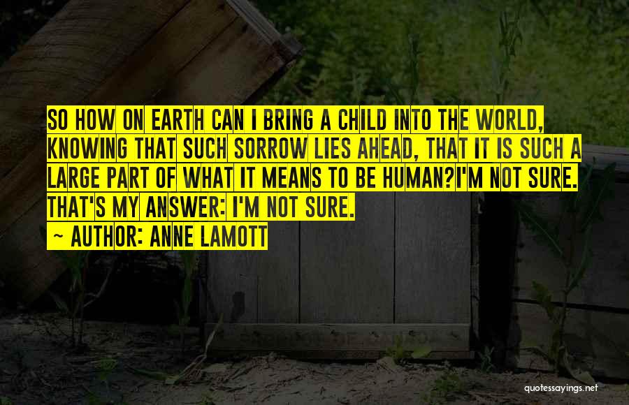 Motherhood Quotes By Anne Lamott