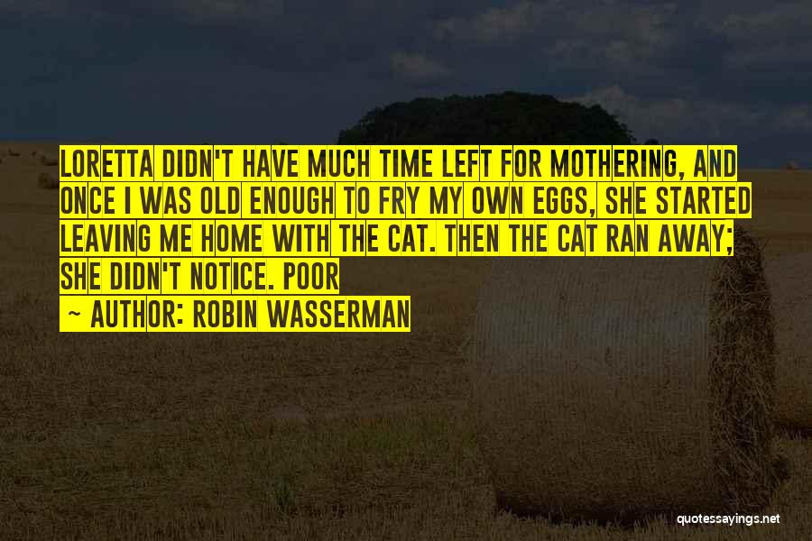 Mothering Quotes By Robin Wasserman