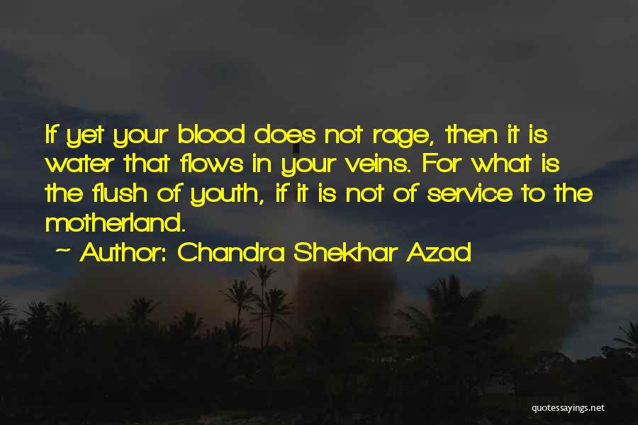 Motherland Quotes By Chandra Shekhar Azad