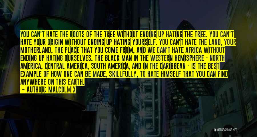 Motherland Quotes By Malcolm X