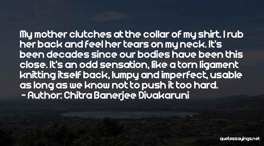 Mothers And Daughters Love Quotes By Chitra Banerjee Divakaruni