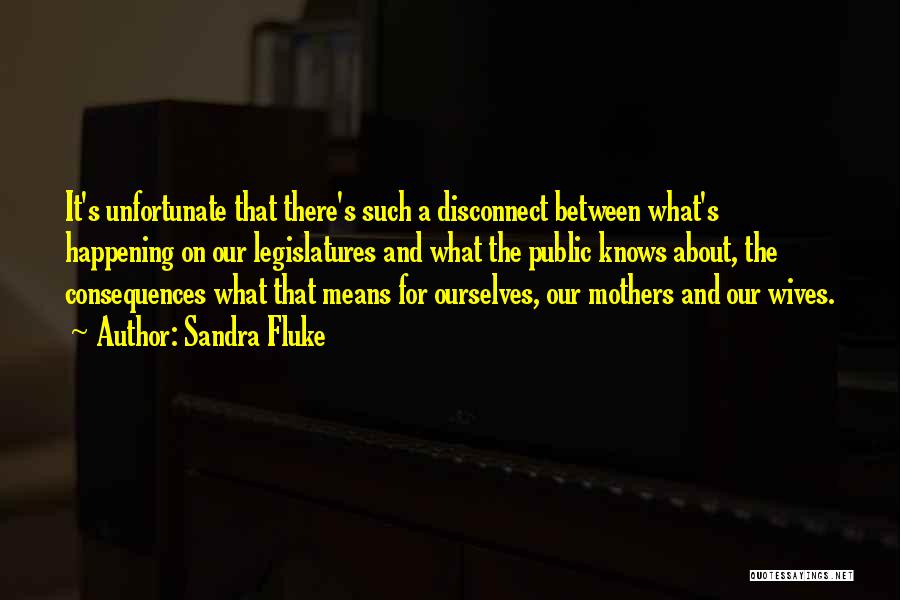 Mothers And Wives Quotes By Sandra Fluke