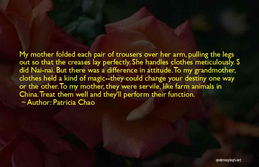 Mother's Arm Quotes By Patricia Chao