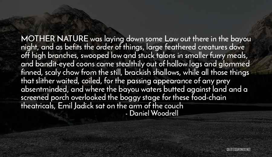 Mother's Night Out Quotes By Daniel Woodrell Mother's Night Out Quotes By Daniel Woodrell