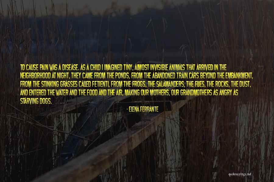 Mothers Pain For Her Child Quotes By Elena Ferrante Mothers Pain For Her Child Quotes By Elena Ferrante