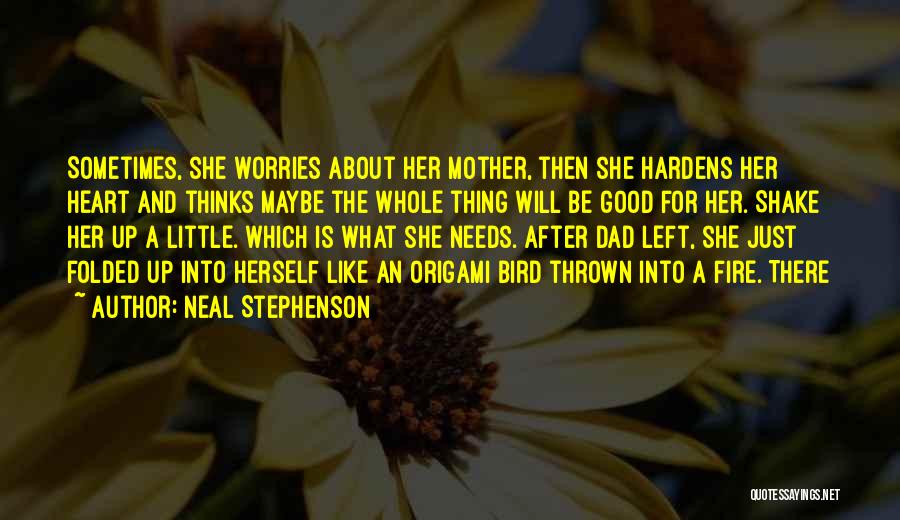 Mother's Worries Quotes By Neal Stephenson