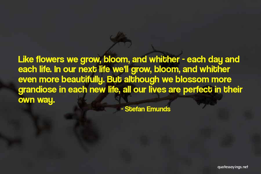 Motina Sathiya Quotes By Stefan Emunds Motina Sathiya Quotes By Stefan Emunds