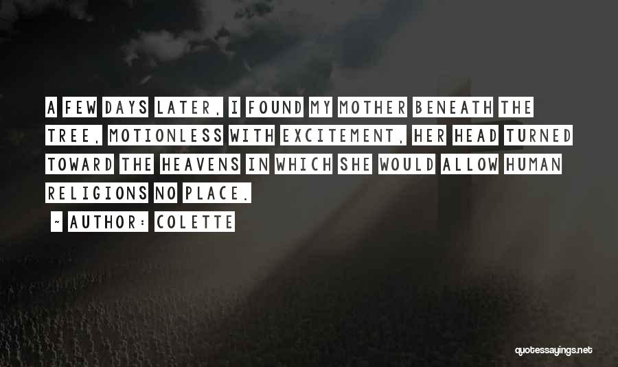 Motionless Quotes By Colette