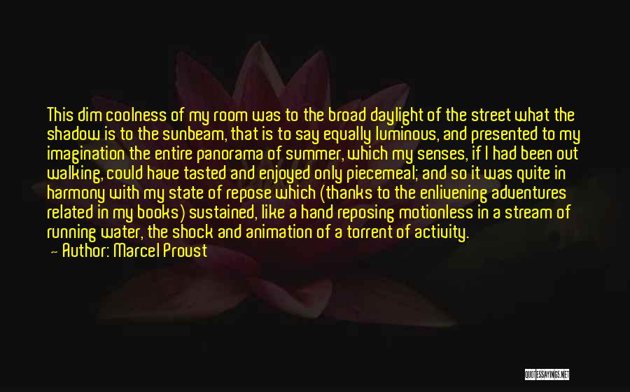 Motionless Quotes By Marcel Proust