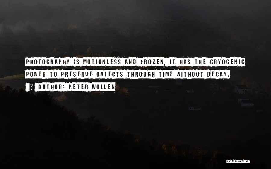 Motionless Quotes By Peter Wollen