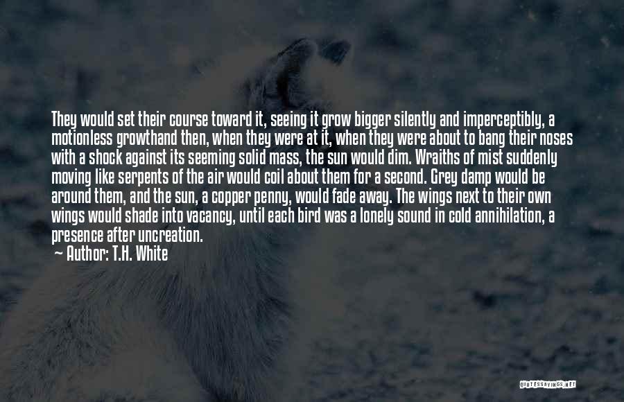 Motionless Quotes By T.H. White