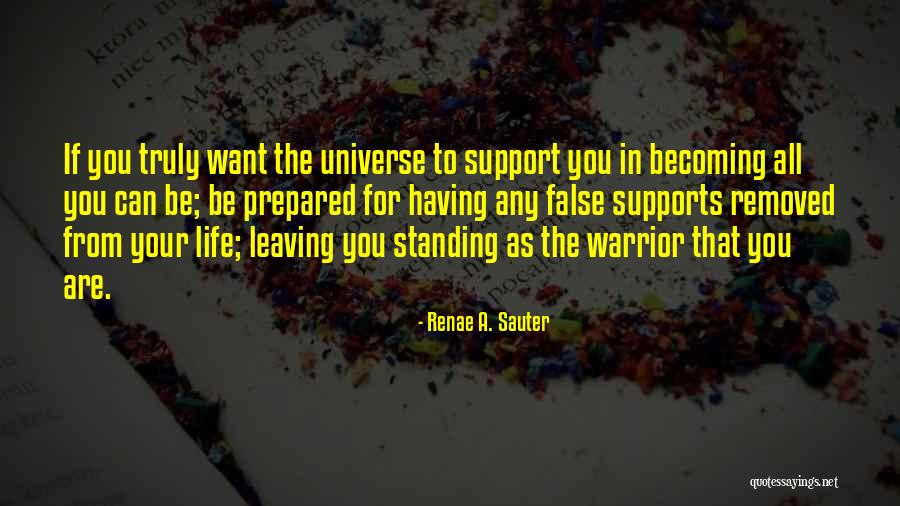 Motivation And Support Quotes By Renae A. Sauter