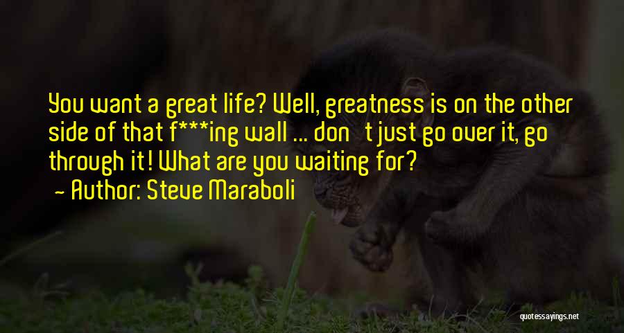 Motivation For Life Quotes By Steve Maraboli