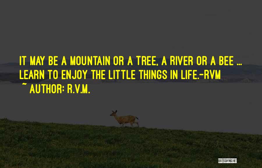 Motivation In Life Quotes By R.v.m.