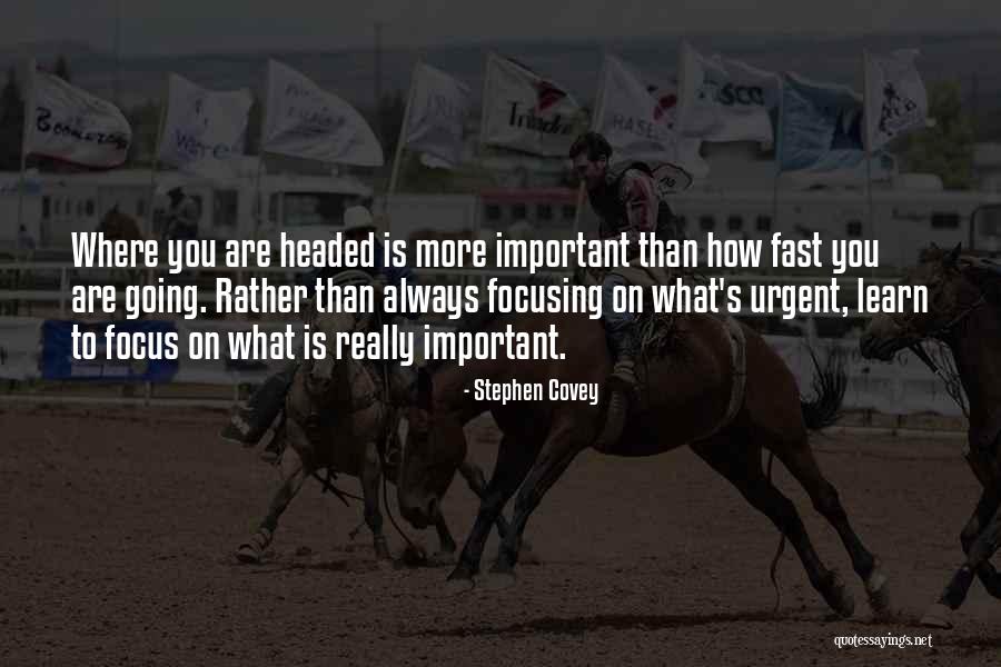 Motivation To Learn Quotes By Stephen Covey Motivation To Learn Quotes By Stephen Covey
