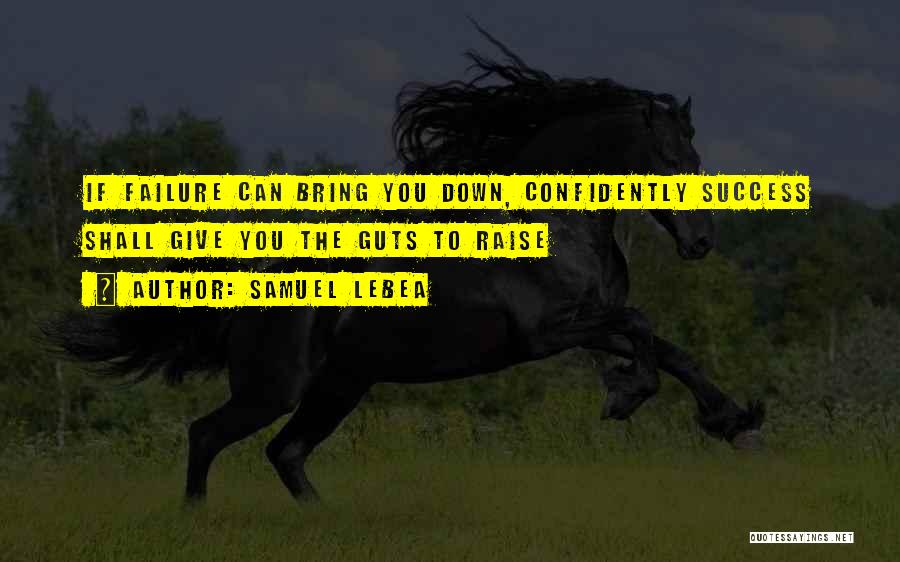 Motivation To Success Quotes By Samuel Lebea